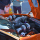 Illustration for article titled Car Show Season...